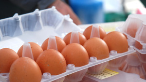 Птицевъди: Румънски и украински яйца се продават в кутии с българския трибагреник