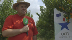 Синан Вейсал: В България няма ефективно работещи застраховки за овощни градини