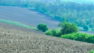 Облекчават се изискванията към фермерите за изпълнение на ДЗЕС 8 - Agri.bg
