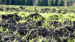 Плодородието расте със задържането на повече въглерод в почвата - Agri.bg