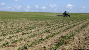 Мнение: Промените в Закона за земеделските земи ще преодолеят манипулациите - Agri.bg