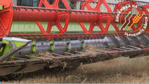 Колко рентабилна е руската пшеница?
