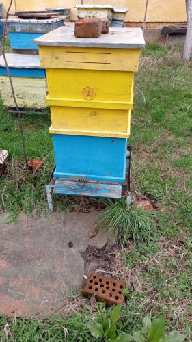 Продавам кошери с пчелни семейства - Снимка 2