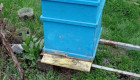 Продавам кошери с пчелни семейства - Снимка 4