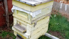 Продавам кошери с пчелни семейства - Снимка 7