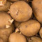 Продавам картофи за семе и консумация - Агро Работа