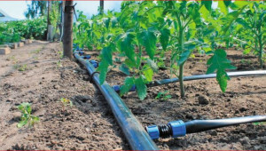 Кирил Вътев: Държавата да е задължена да обезпечи всеки фермер с вода за напояване