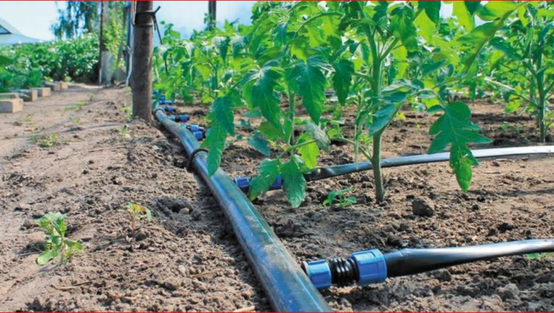 EК одобри държавна помощ за напояване за реколта 2024