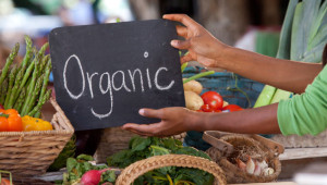 Стъпка напред: От 2031 г. 10% от храните по обществени поръчки трябва да са биологични