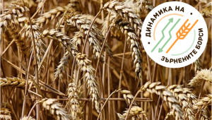 ФАО съобщи за спад от 20% при цените на зърнените храни