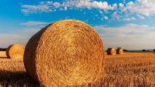 Стопанин: Тази година ще събираме сеното по-рано - Agri.bg