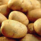 Продавам едър картоф - Агро Работа