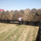 Продавам люцерна със сено на ролони бали регион Пазарджик - Агро Работа