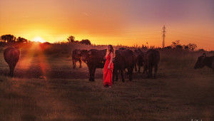 Дамите в селското стопанство: Елина Николова - Снимка 9