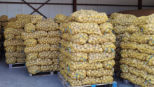 Съживява ли се пазарът на картофите и какво е настроението на производителите? - Agri.bg