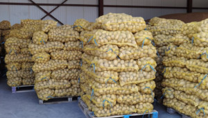 Съживява ли се пазарът на картофите и какво е настроението на производителите?