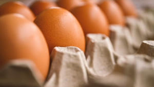 Преди Великден: Каква е ситуацията с вноса и цените на яйцата? - Agri.bg
