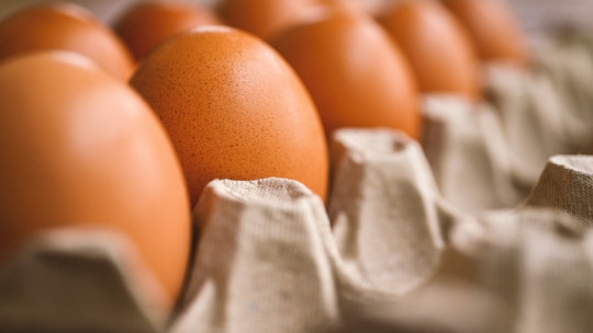 Преди Великден: Каква е ситуацията с вноса и цените на яйцата? - Agri.bg