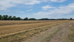 По-ранна жътва очакват зърнопроизводителите - Agri.bg
