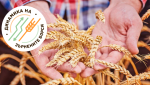 Може ли Европа да защити зърнените си пазари? - Agri.bg